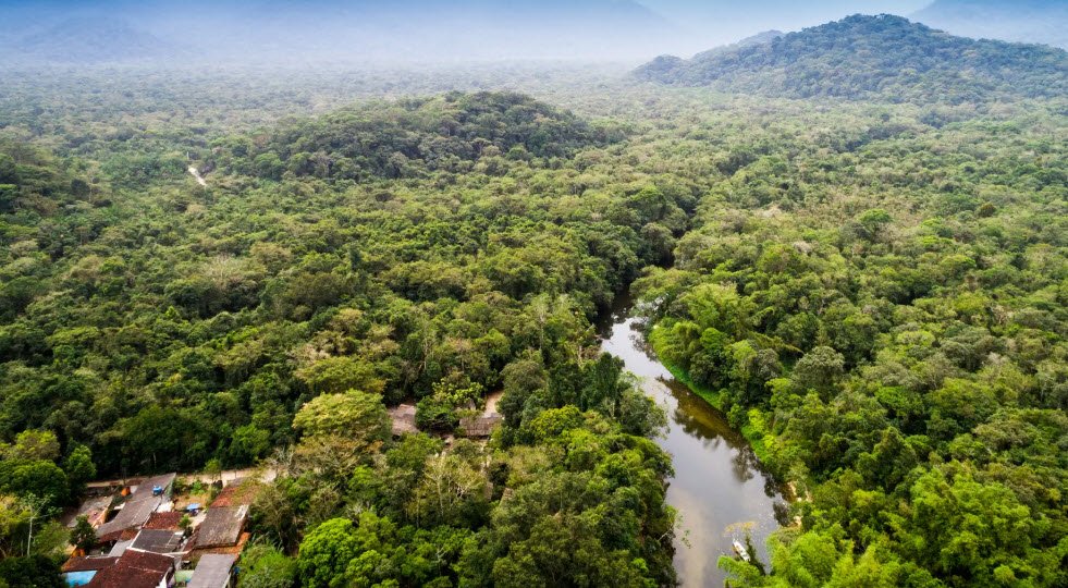 Mayombe Forest, Kouilou & Niari Regions, DR Congo